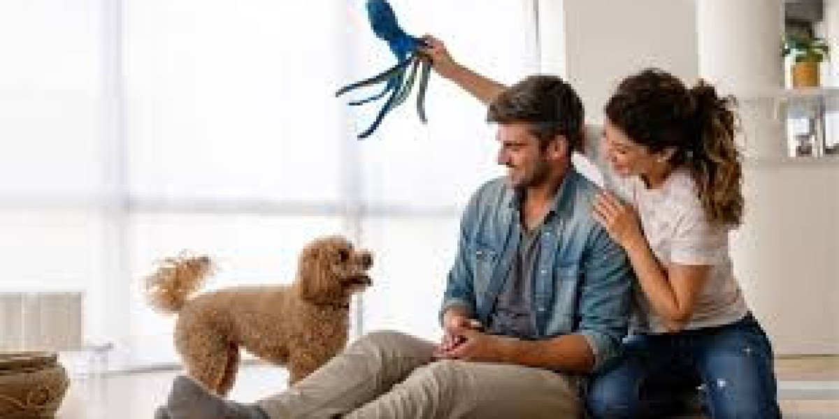 Dog Food Calculator – How to Calculate the Perfect Portion for Your Dog