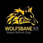 Wolfsbane K9