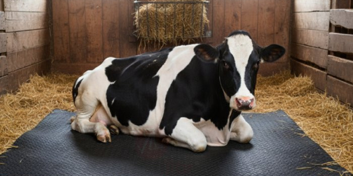 Cow Mat – Durable Flooring for Modern Dairy Farms