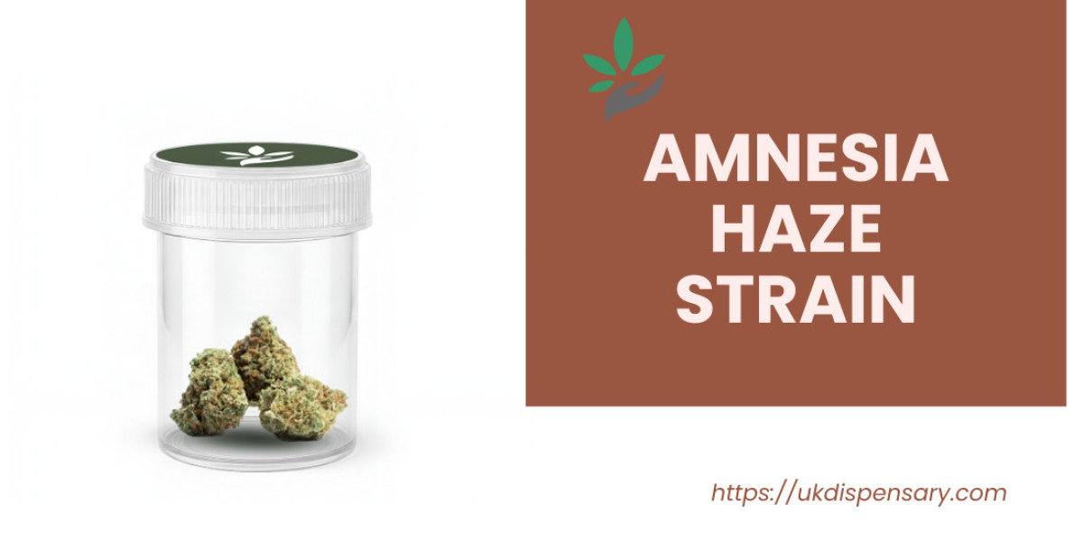 Best Amnesia Haze Strain UK – Buy Now for Premium Quality