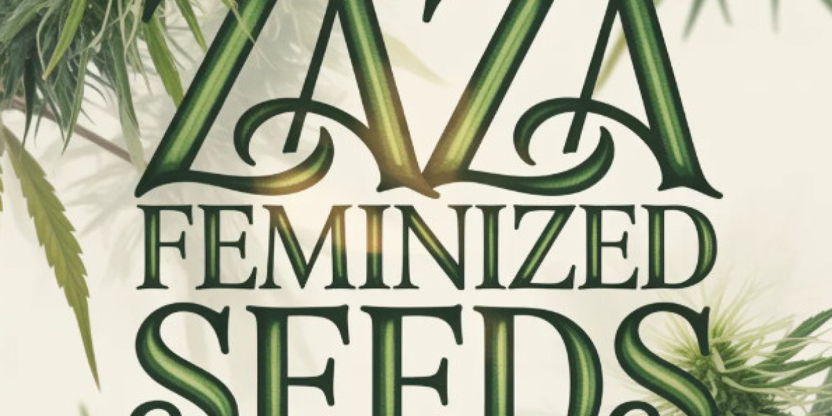 Zaza Feminized Seeds: Grow Premium Quality Zaza Today