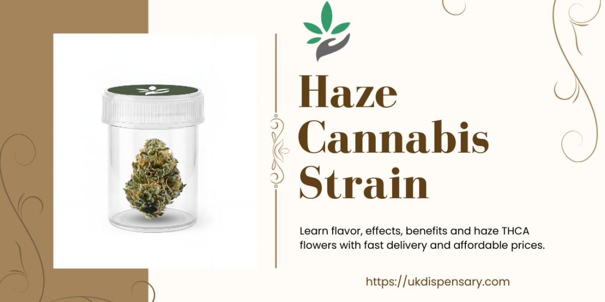 Best Haze Cannabis Strain Uses & Guide | UK Dispensary