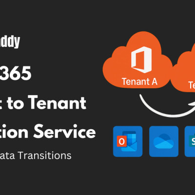 Microsoft 365 Tenant to Tenant Migration Profile Picture