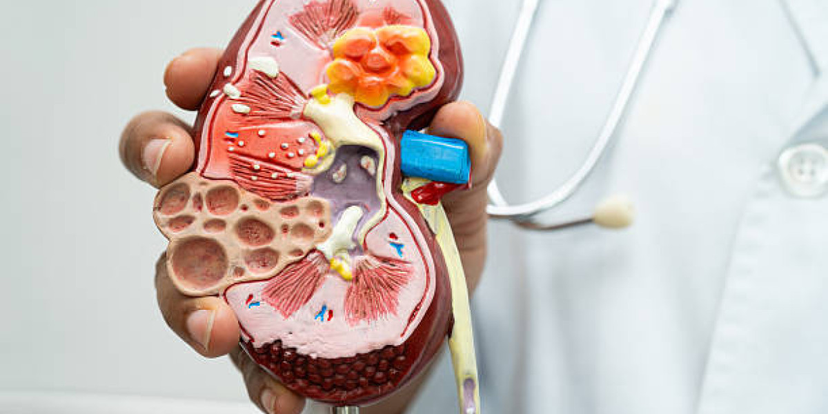 How to Slow Down Chronic Kidney Disease Naturally and Medically