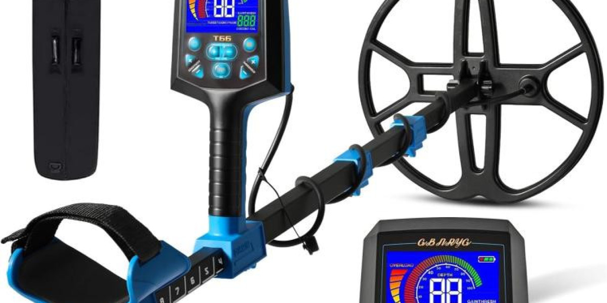 Choosing the Right Gold Detector: Affordable and Professional Options