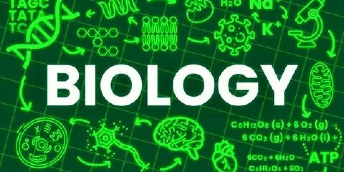Science Tuition Singapore: A Complete Guide to Academic Success