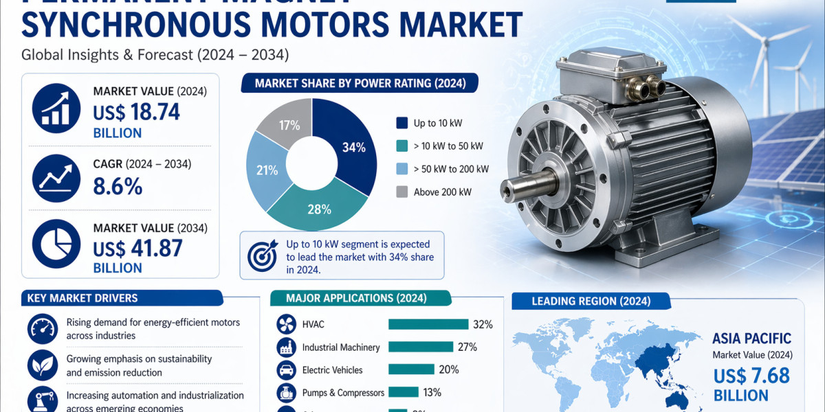 Permanent Magnet Synchronous Motors Market Insights by Region