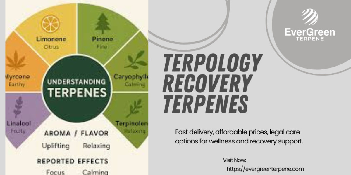 Terpology Recovery Terpenes for Modern Wellness UK