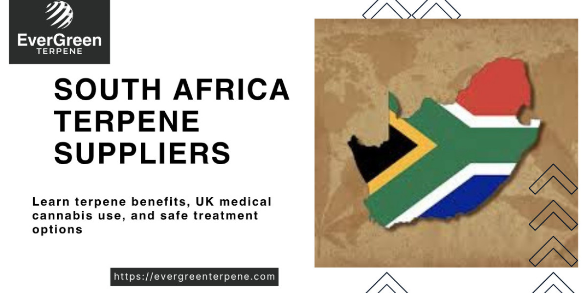 Understanding South Africa Terpene Suppliers and Their Role in Modern Medical Cannabis – Evergreen Terpene