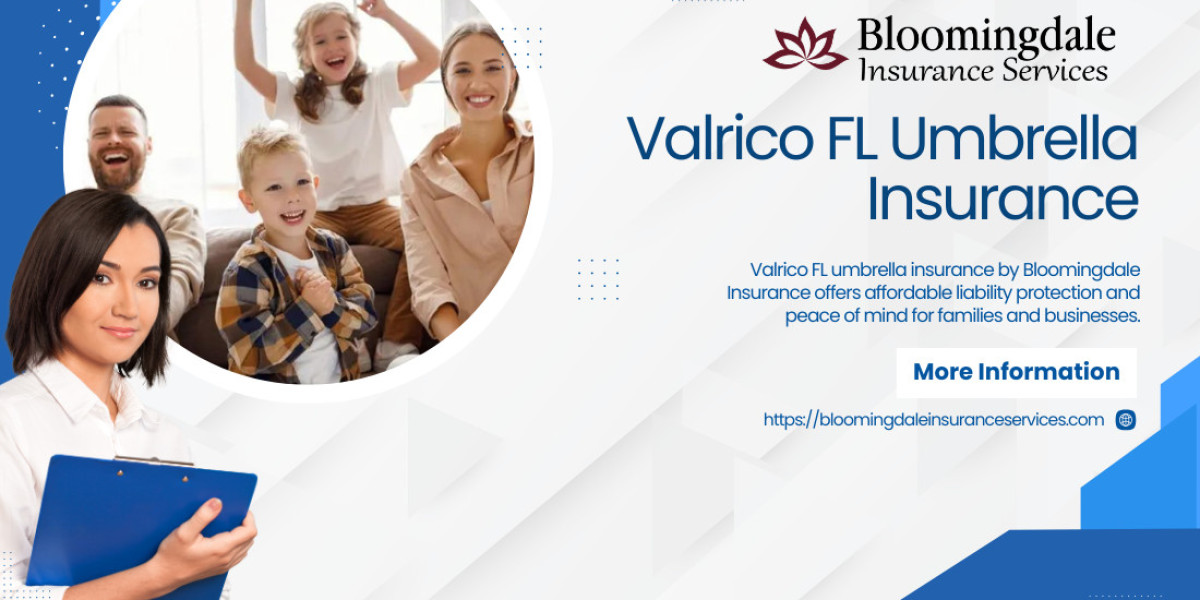 Smart Financial Safety with Valrico FL Umbrella Insurance by Bloomingdale Insurance Services