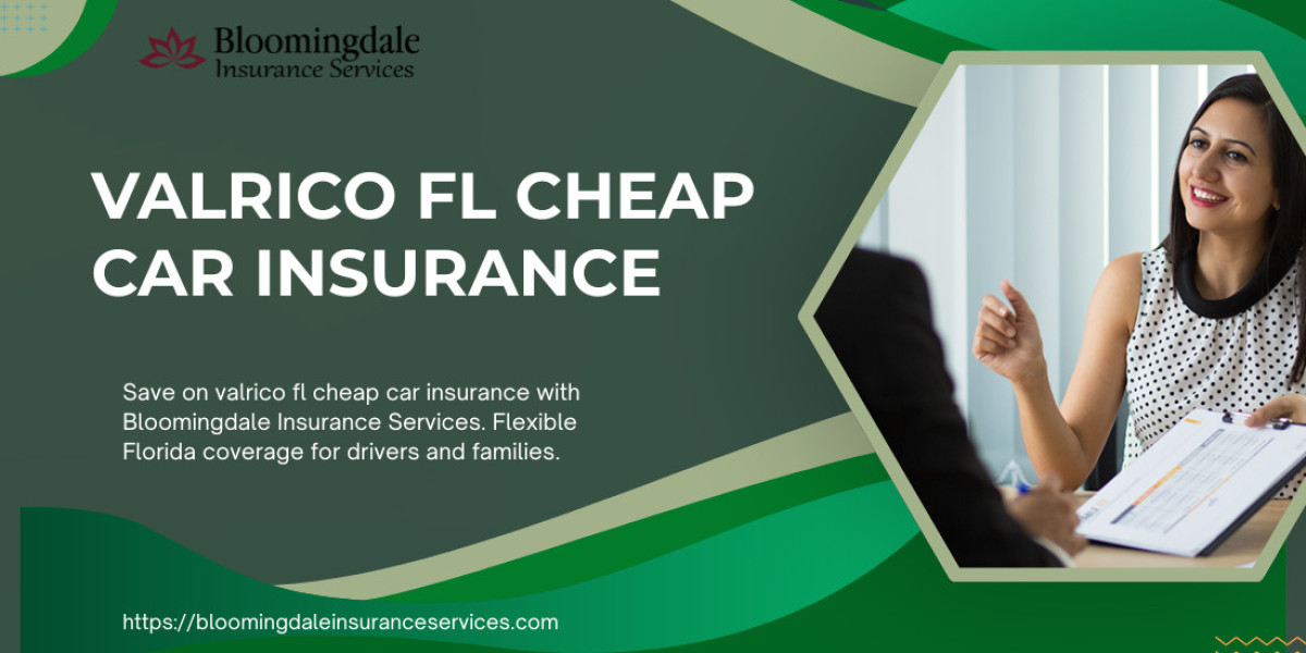 Valrico FL Cheap Car Insurance Plans for Florida Families | Bloomingdale Insurance Services