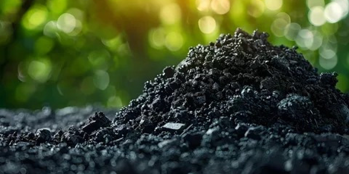 APAC Biochar Market: Asia-Pacific Leads as Airex Energy, Biochar Supreme, and ArSta Eco Drive Sustainable Soil Solutions