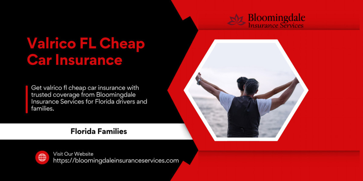 Valrico FL Cheap Car Insurance for Smart Florida Drivers