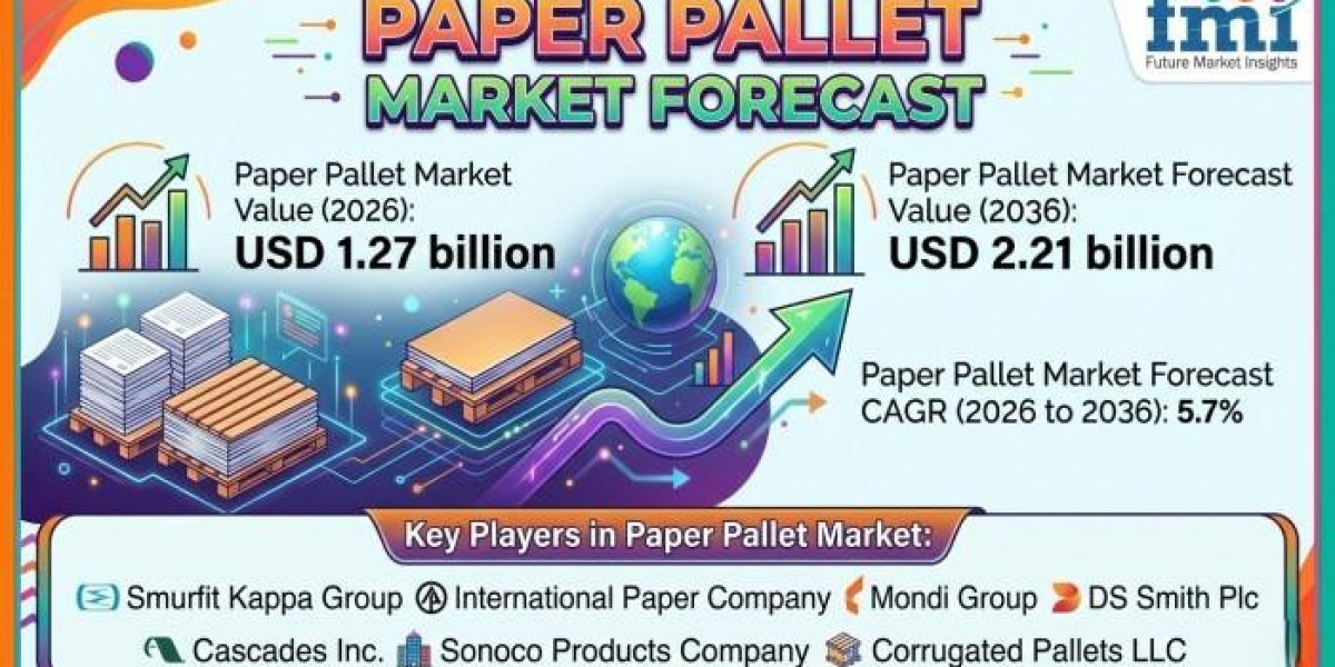 Paper Pallet Market Size Increases as Industries Replace Traditional Wooden Shipping Platforms Worldwide