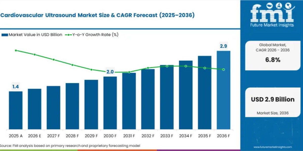 Cardiovascular Ultrasound Industry Set for 6.8% CAGR Through 2036