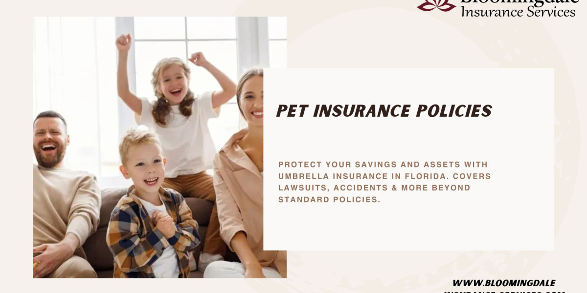 Valrico FL Umbrella Insurance Policy | Bloomingdale Insurance Services