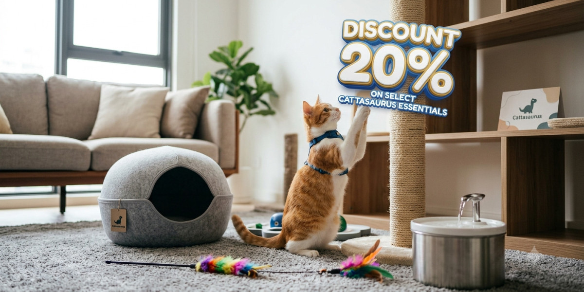 Cattasaurus: Creating a Comfortable and Happy Space for Your Cat