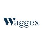 Waggex Payroll Software