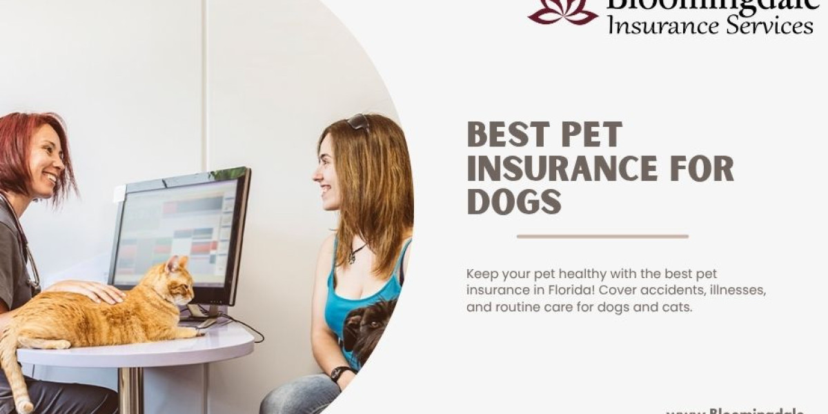 Best Pet Insurance for Dogs: A Practical Guide for Owners