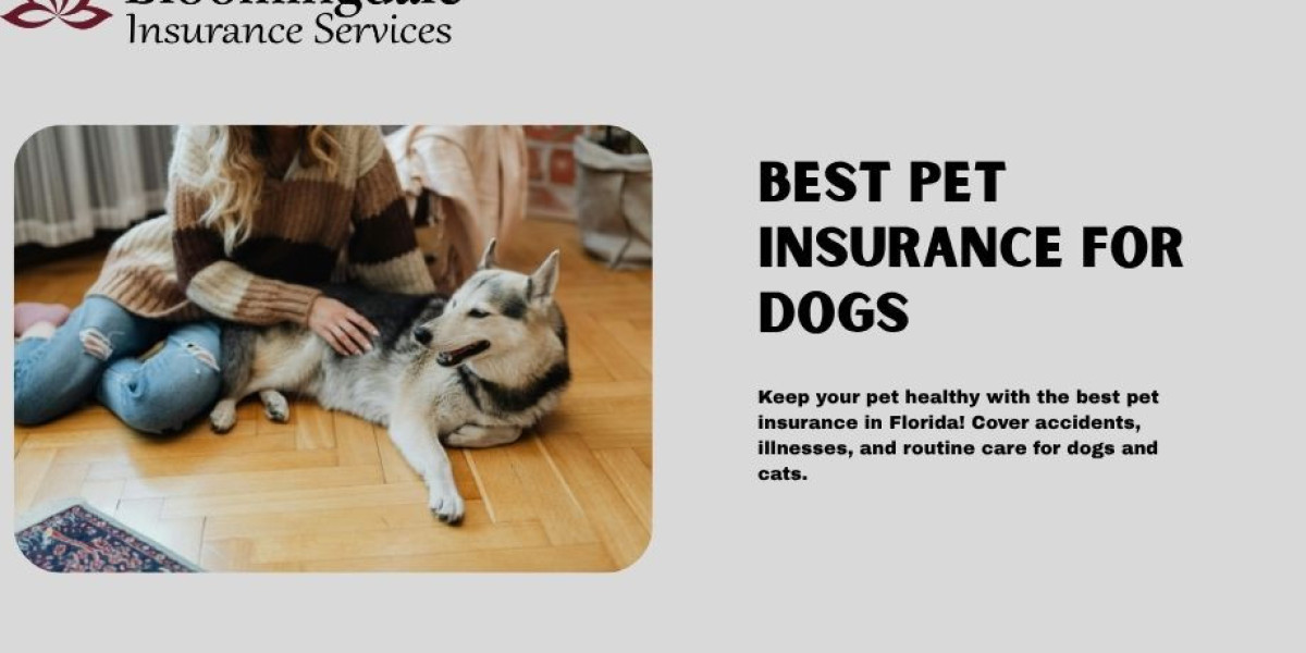 Best Pet Insurance for Dogs: Reliable Protection for Your Canine Companion