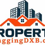 Property Snagging DXB